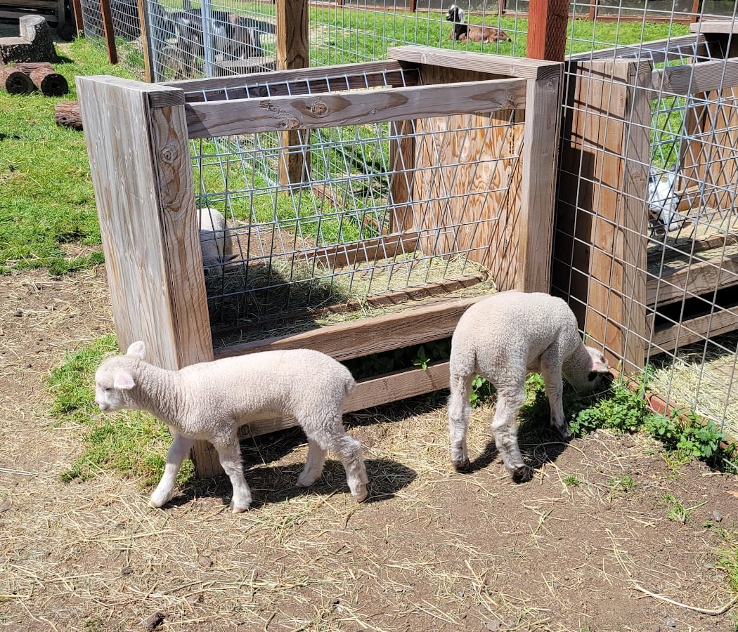 Deer Hollow Farm 2