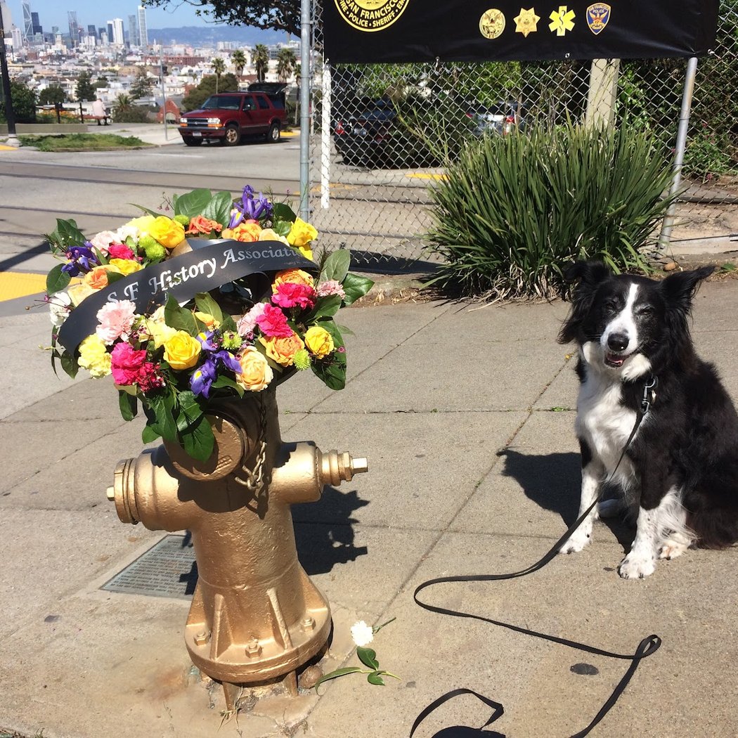 Golden Fire Hydrant Annual Celebration 1