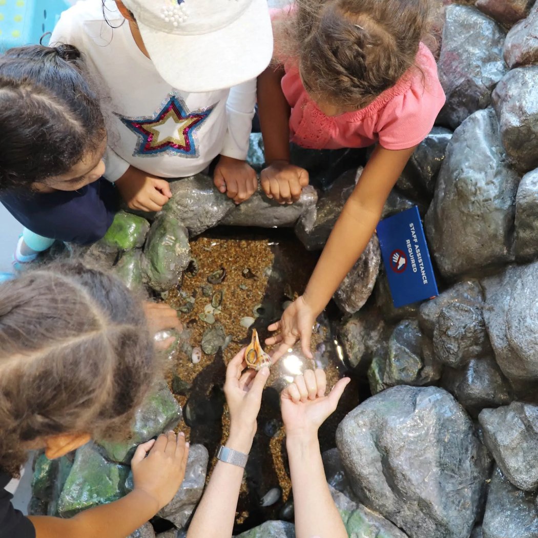Open Hours at the Environmental Education Center 1