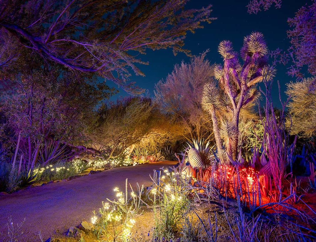 Fall Garden After Dark