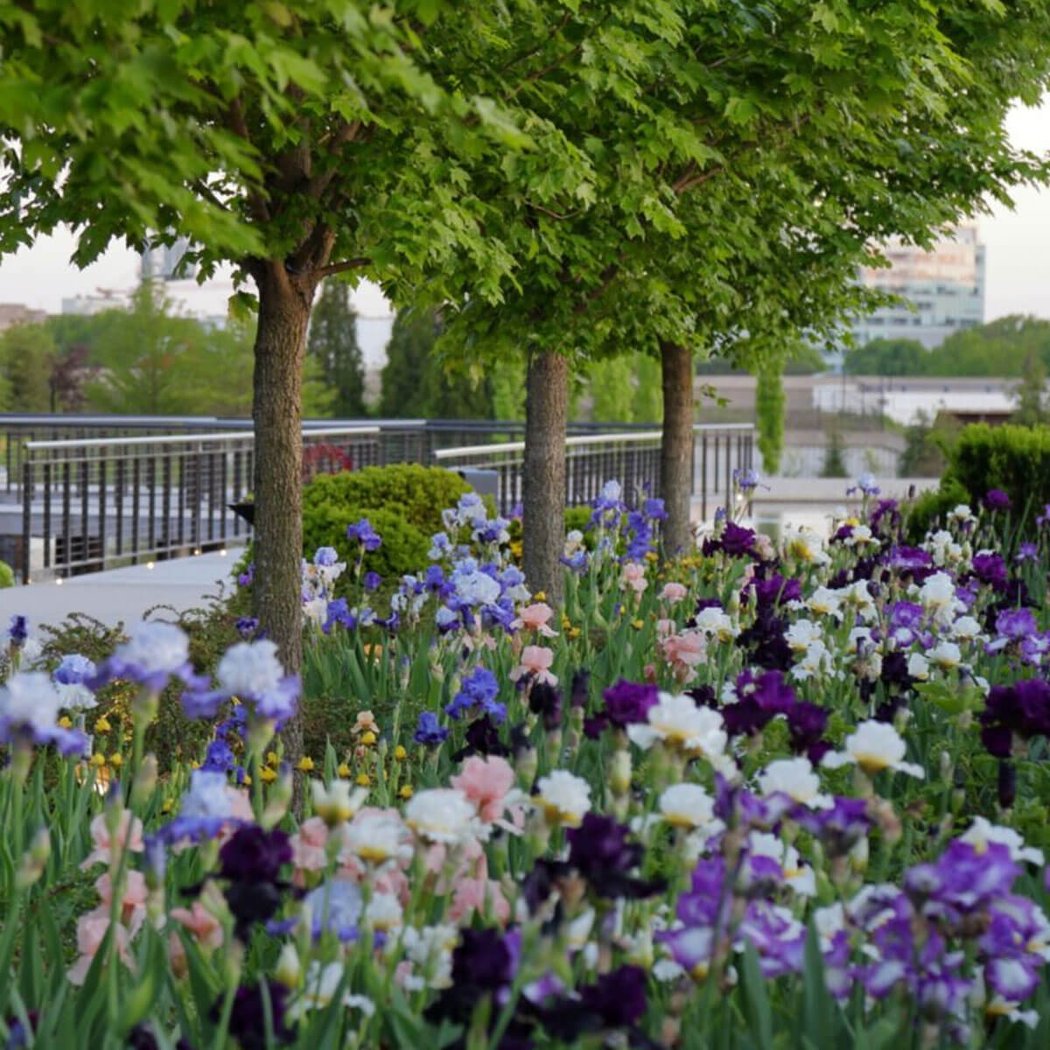 Greater Des Moines Botanical Garden 2