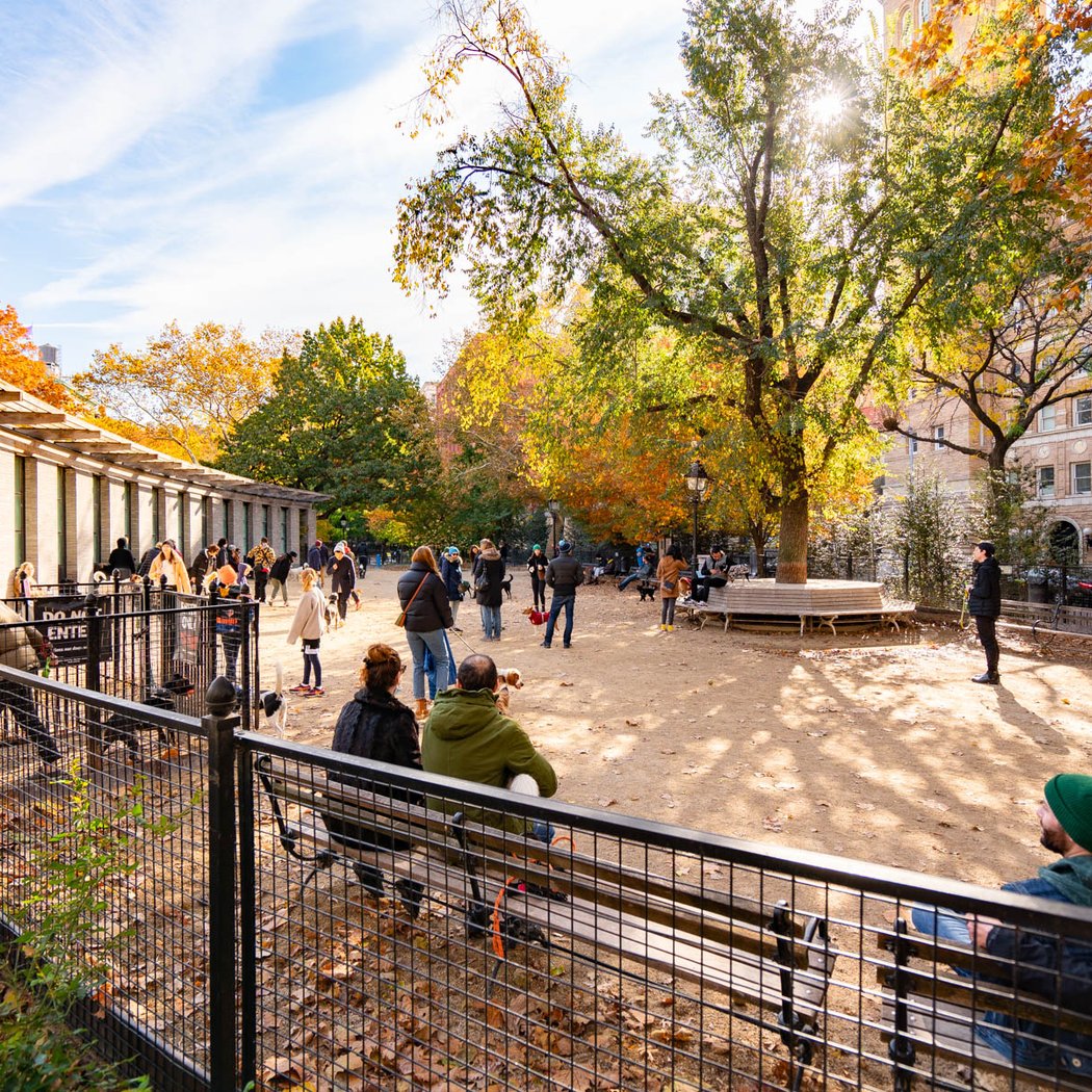 Washington Square Park Dog Run 1