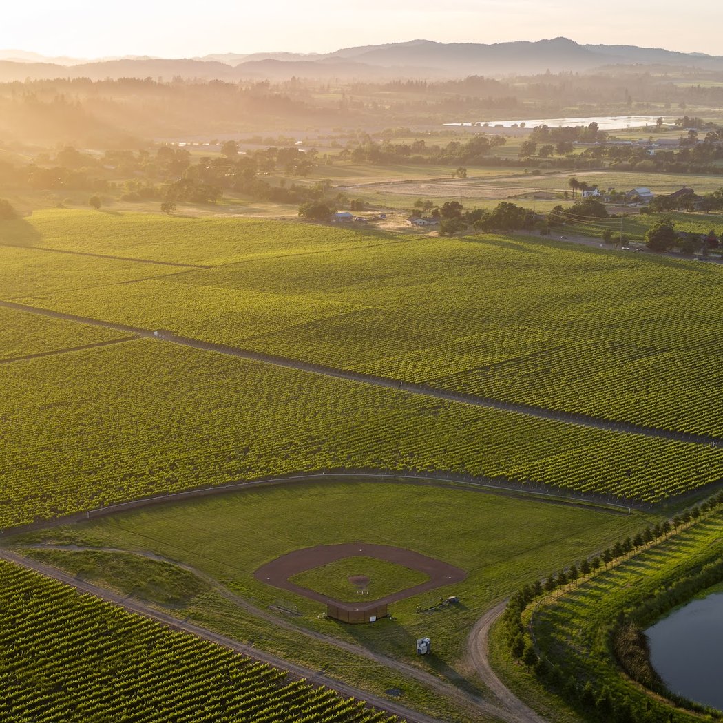 OUTDOOR SUMMER WINE COUNTRY MEMORIAL DAY CONCERT - CONTIGO 1