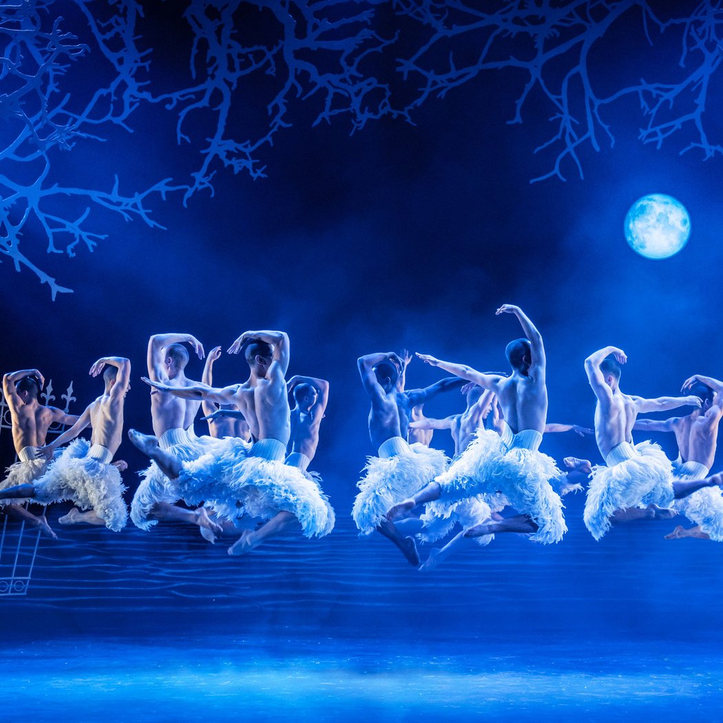 Swan Lake 1