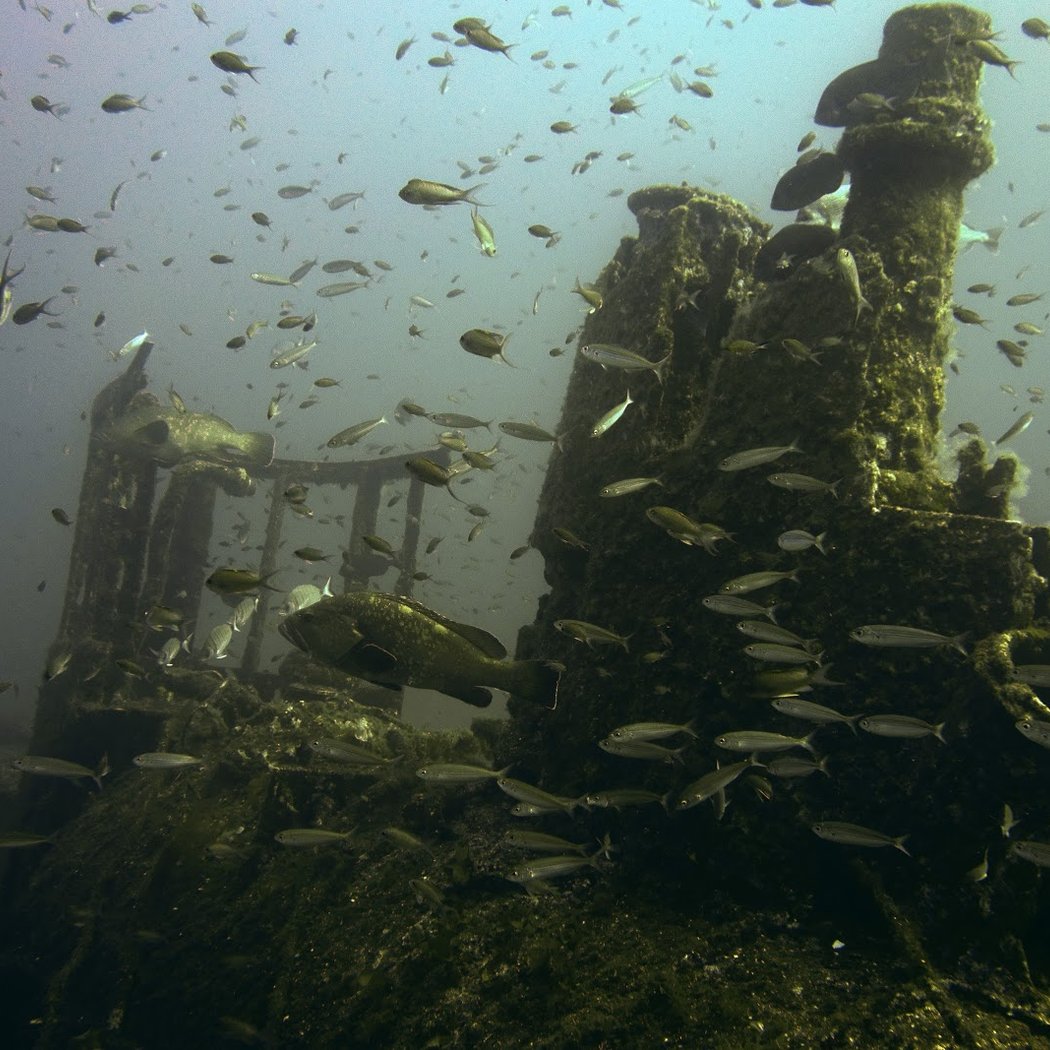 PORT FREJUS DIVING 2