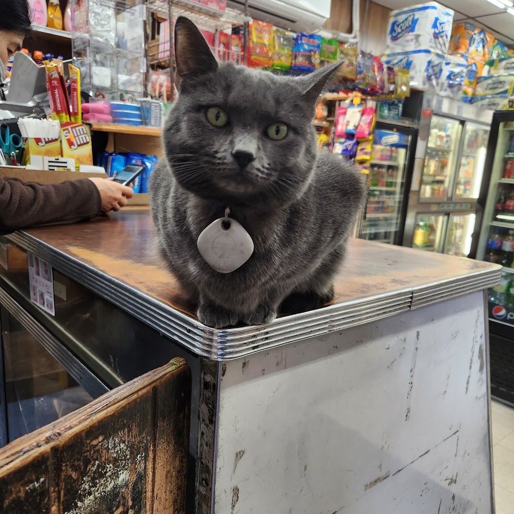 White Mountain Farm Grocery & Deli 1