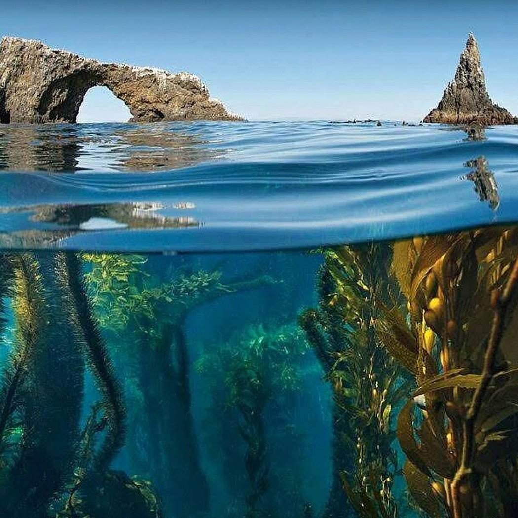 Channel Islands National Park 1