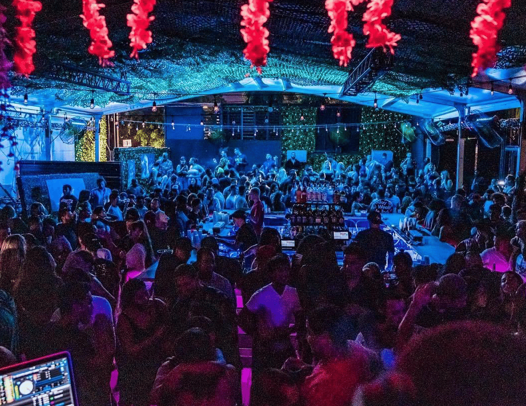 Ladies Night 3