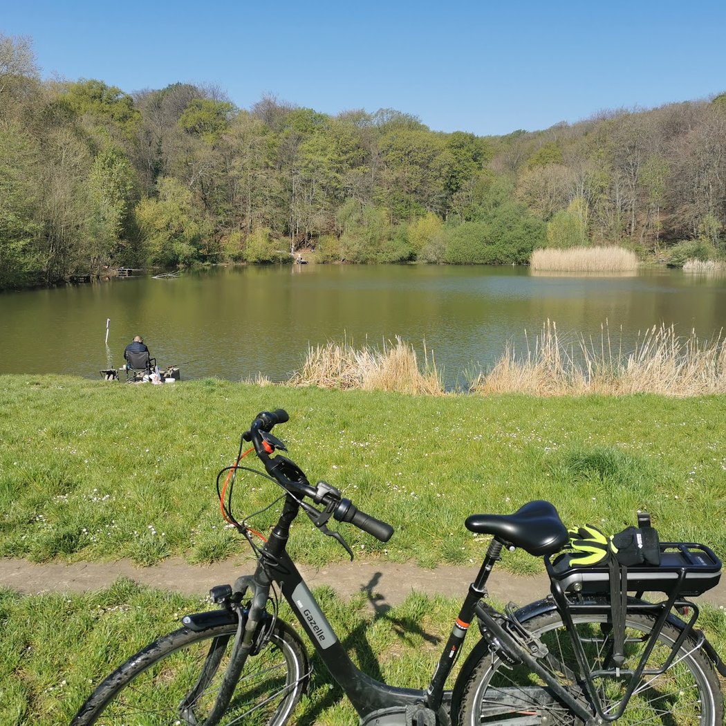Pond of Meudon 3