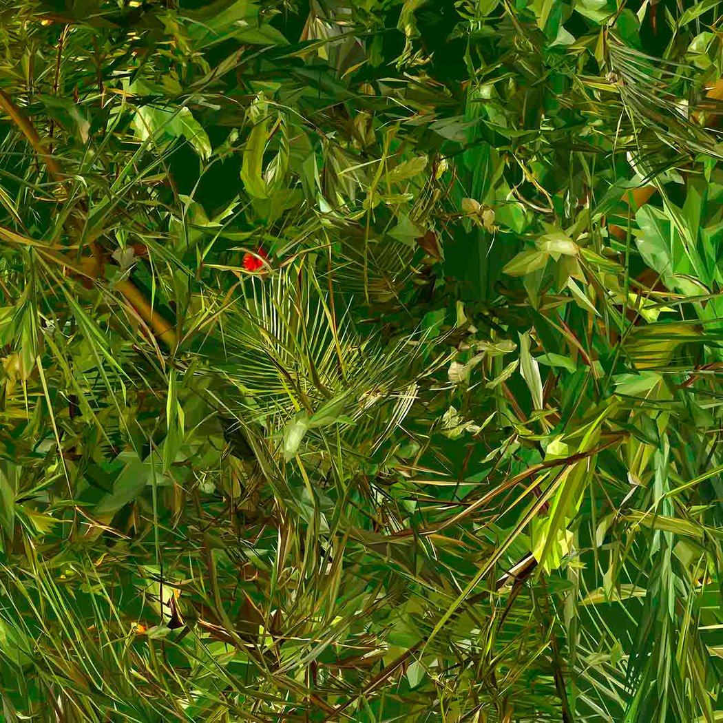 Albano Afonso. A Natureza