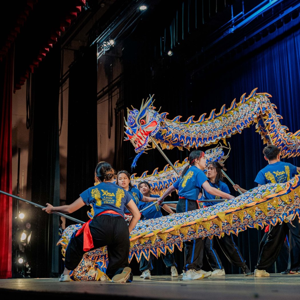 Vietnamese Tet Celebration: Dragon Dancing 2