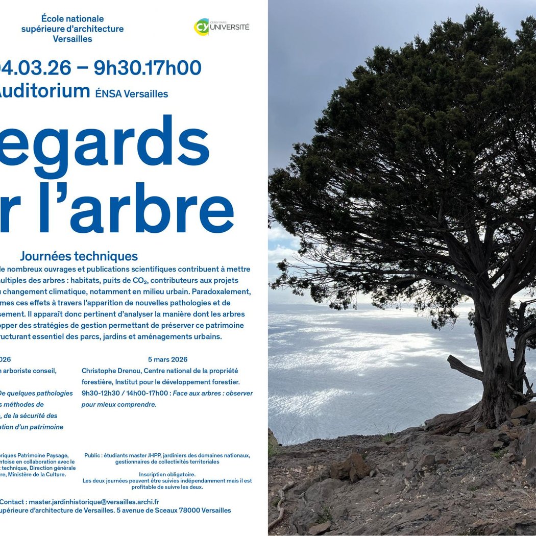 Regards sur l’arbre 2026 1