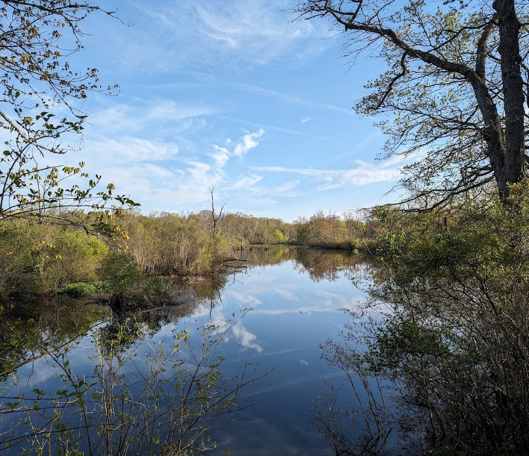 Long Bridge Park 1