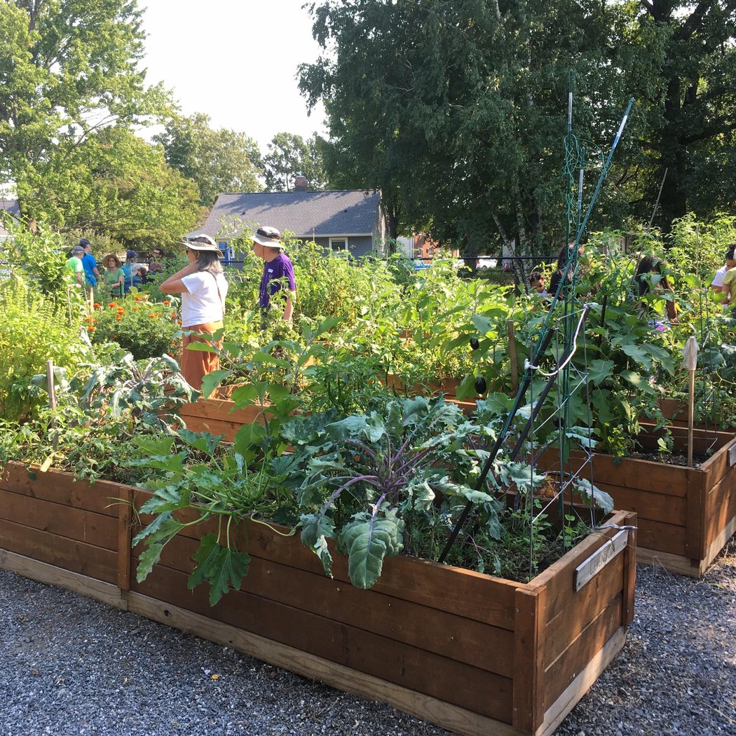 Framingham Vegetable Gardens Tour 2