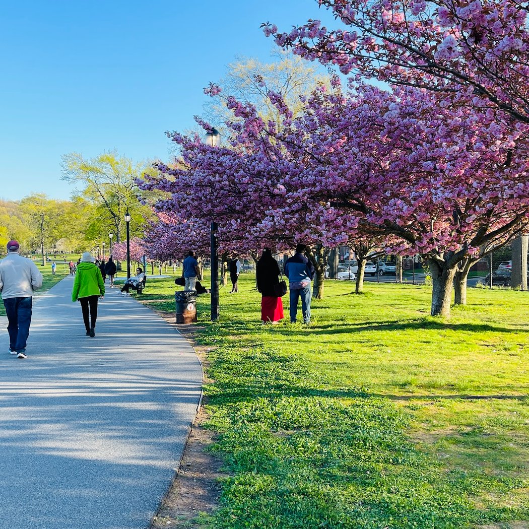 Extended Hikes with Urban Park Rangers 2