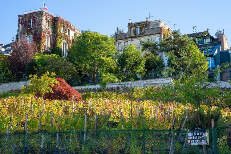 La Commanderie du Clos Montmartre 5