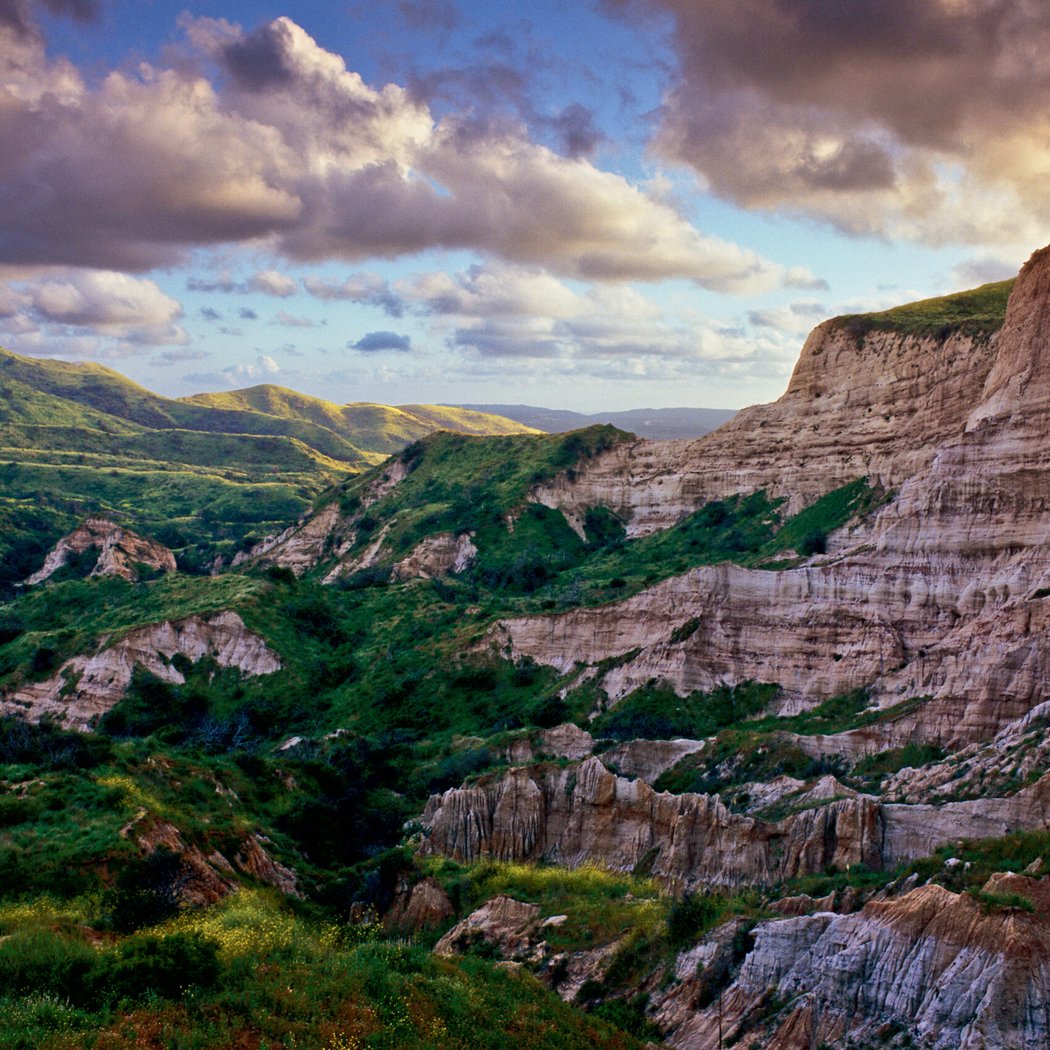 Group Stewardship: Limestone Canyon Butterfly Habitat Islands 2