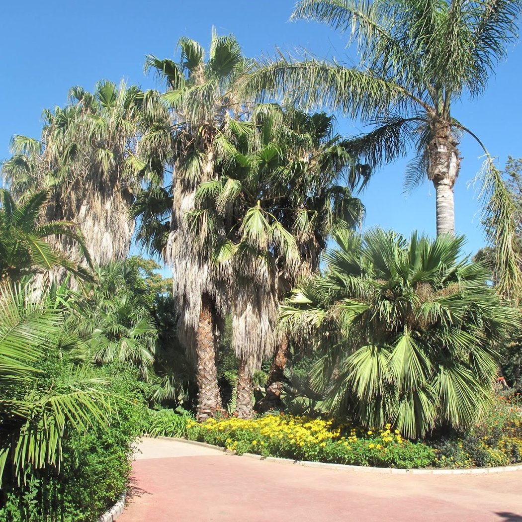 Parc Olbius Riquier 3