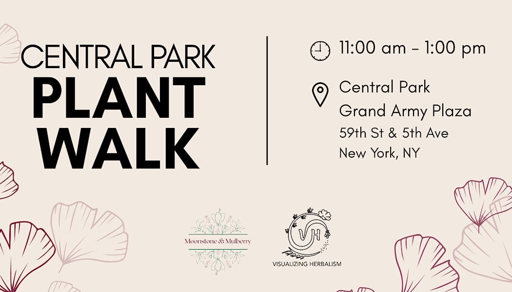 Central Park Plant Walk 1