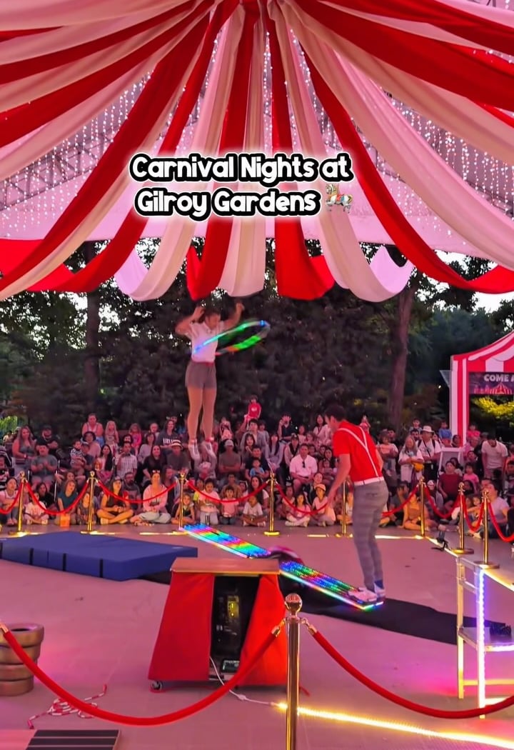 Carnival Nights 1