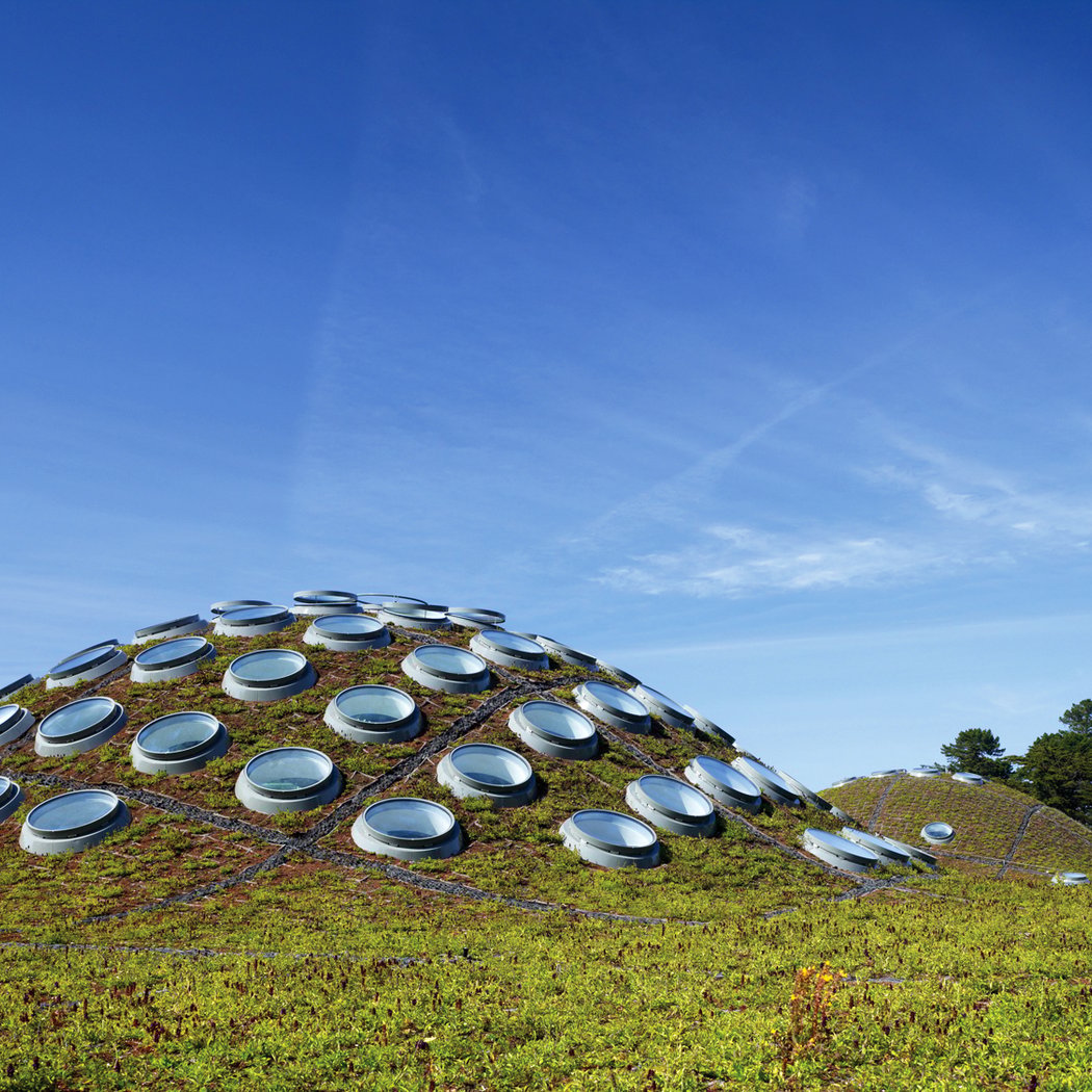 Living Roof