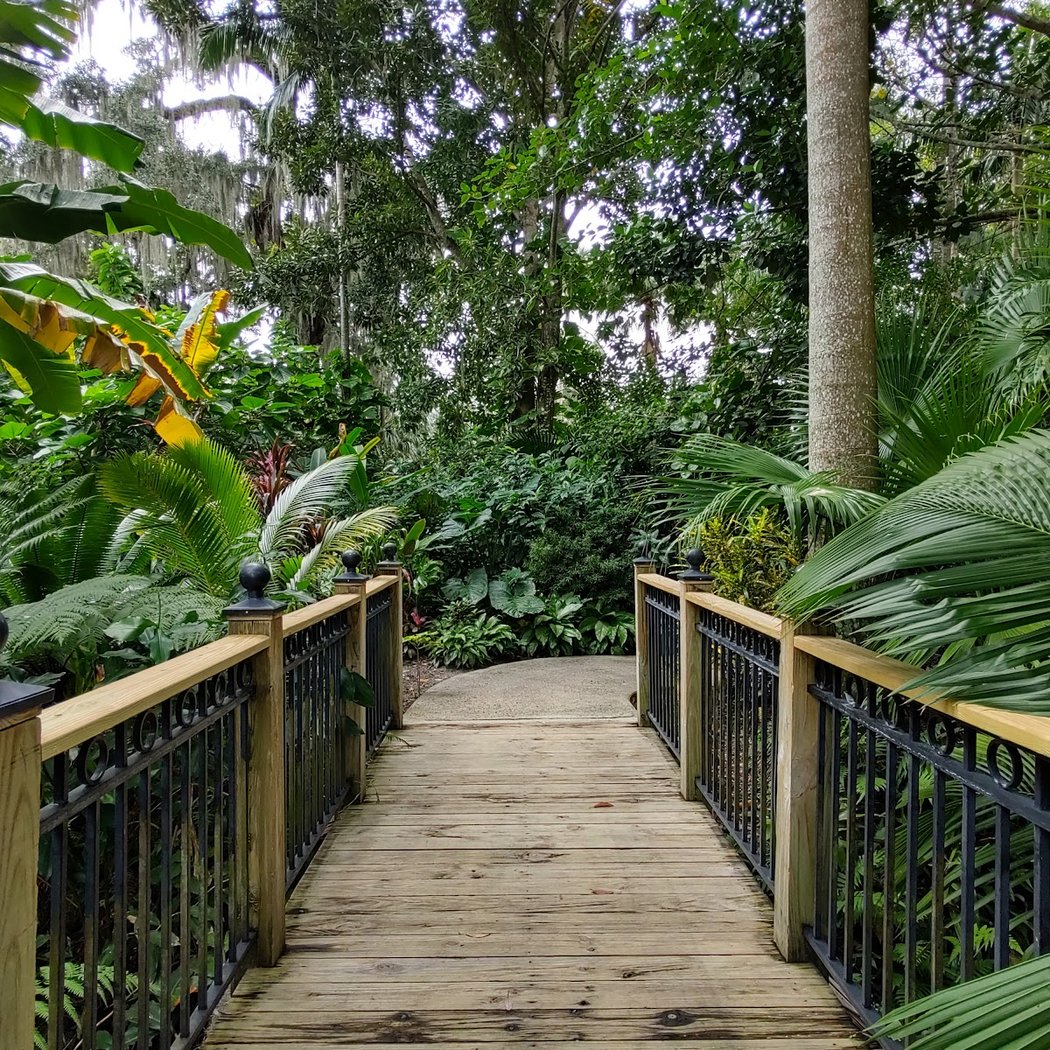 Harry P Leu Gardens 3