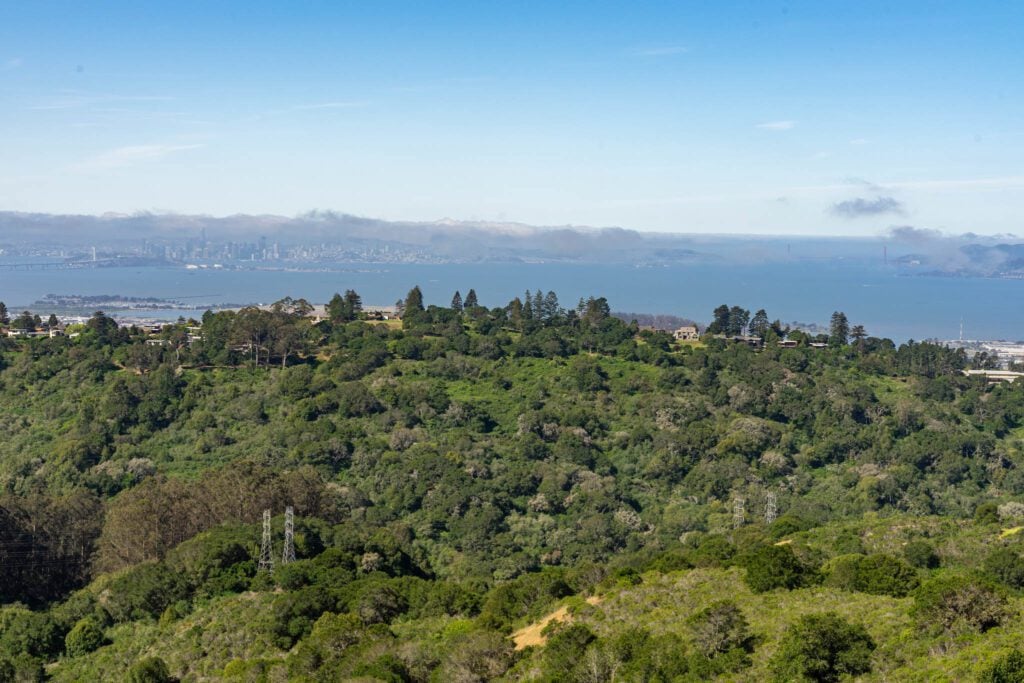 Wildcat Peak Trail 2