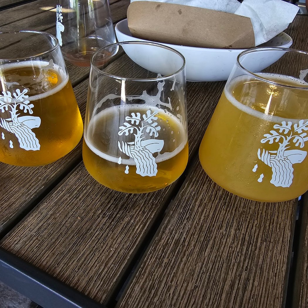 Drowned Lands Brewery 3