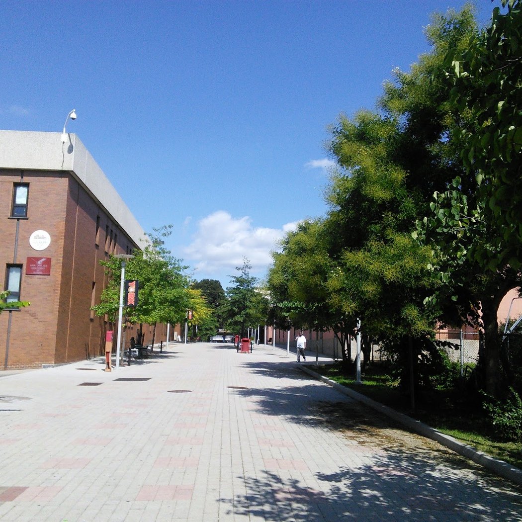 York College 3
