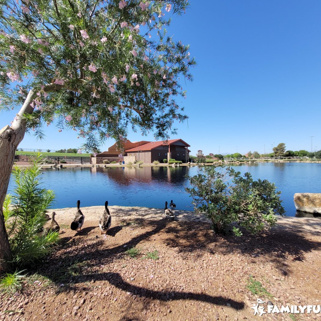 Craig Ranch Regional Park 3