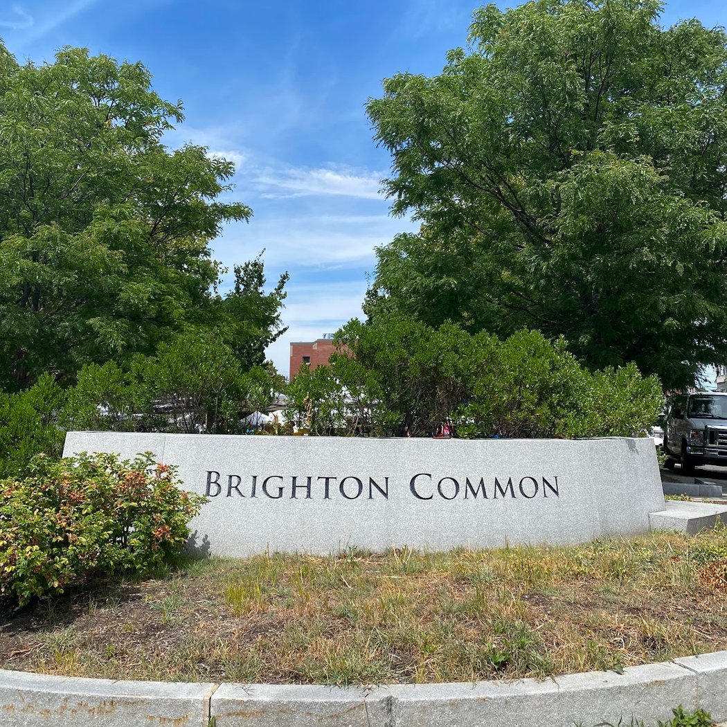 Brighton Common 2