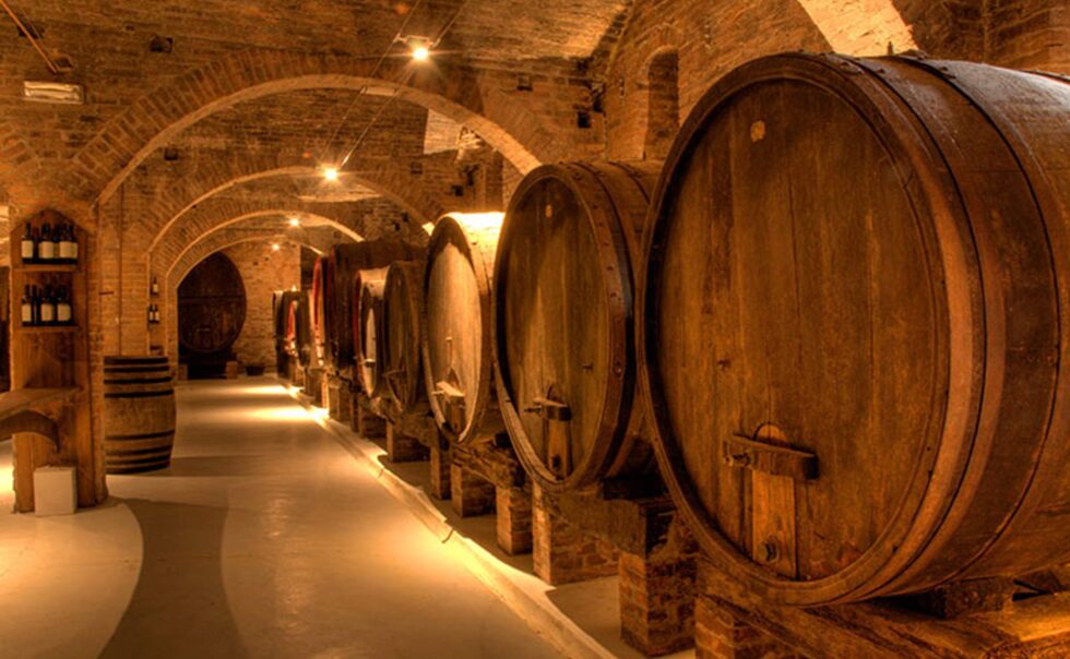FUT DE CHENE, CUVE INOX, AMPHORE,… QUELLE DIFFÉRENCE? 1