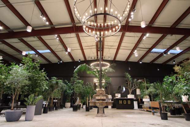 Botany Zhi ( house of botanicals) 2