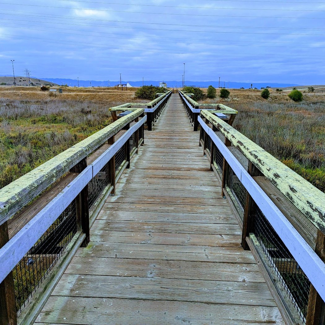 Stevens Creek Shoreline Nature Study Area Preserve 2