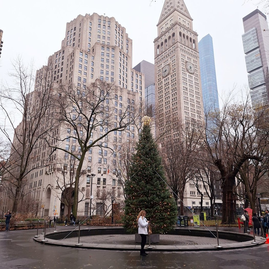 Madison Square Park Reflecting Pool 2