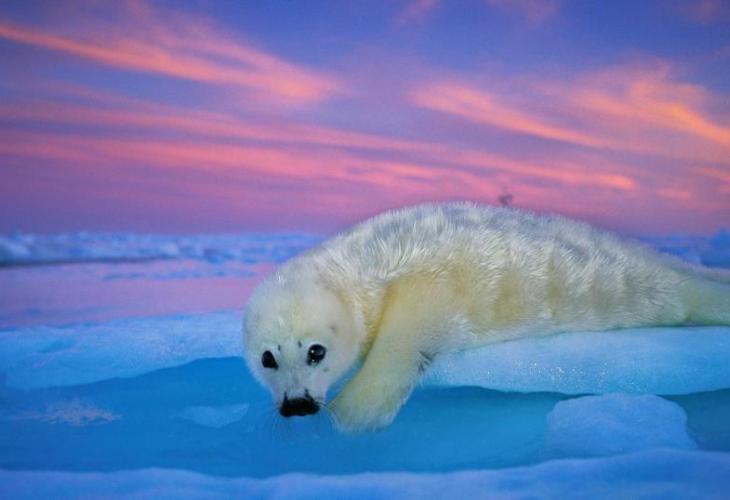 Exposición de 'National Geographic' 'Colores en el mundo'