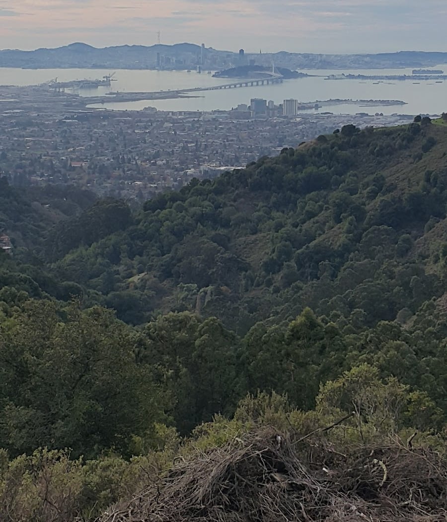 Strawberry Canyon Recreation 2