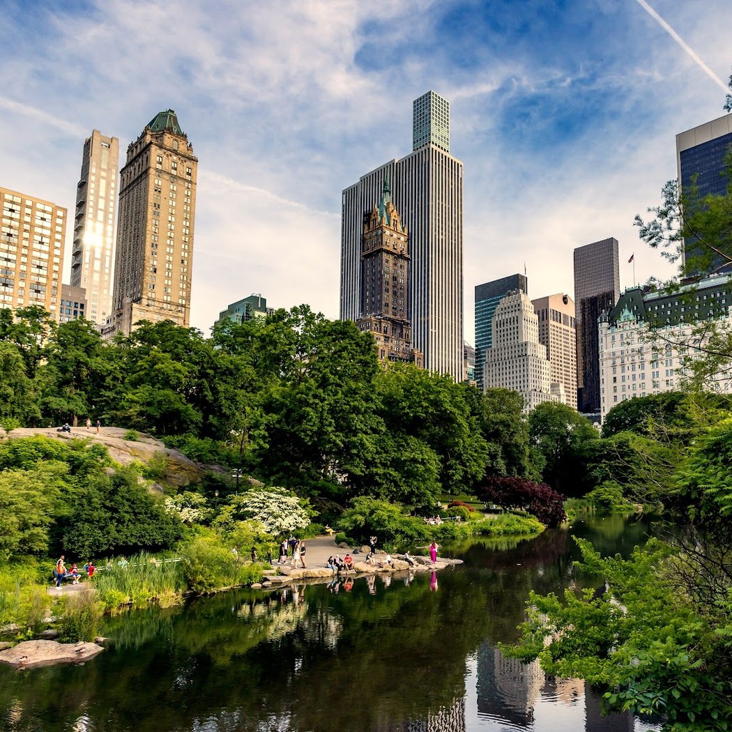 The Pond at Central Park 1