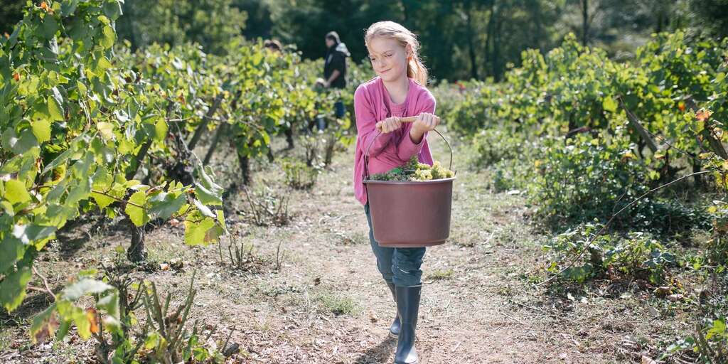 Vendanges en famille 1