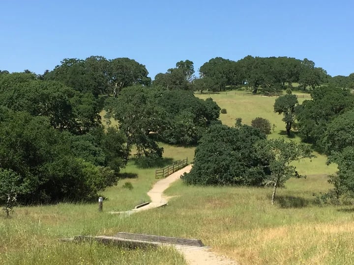 Foothill Regional Park 3