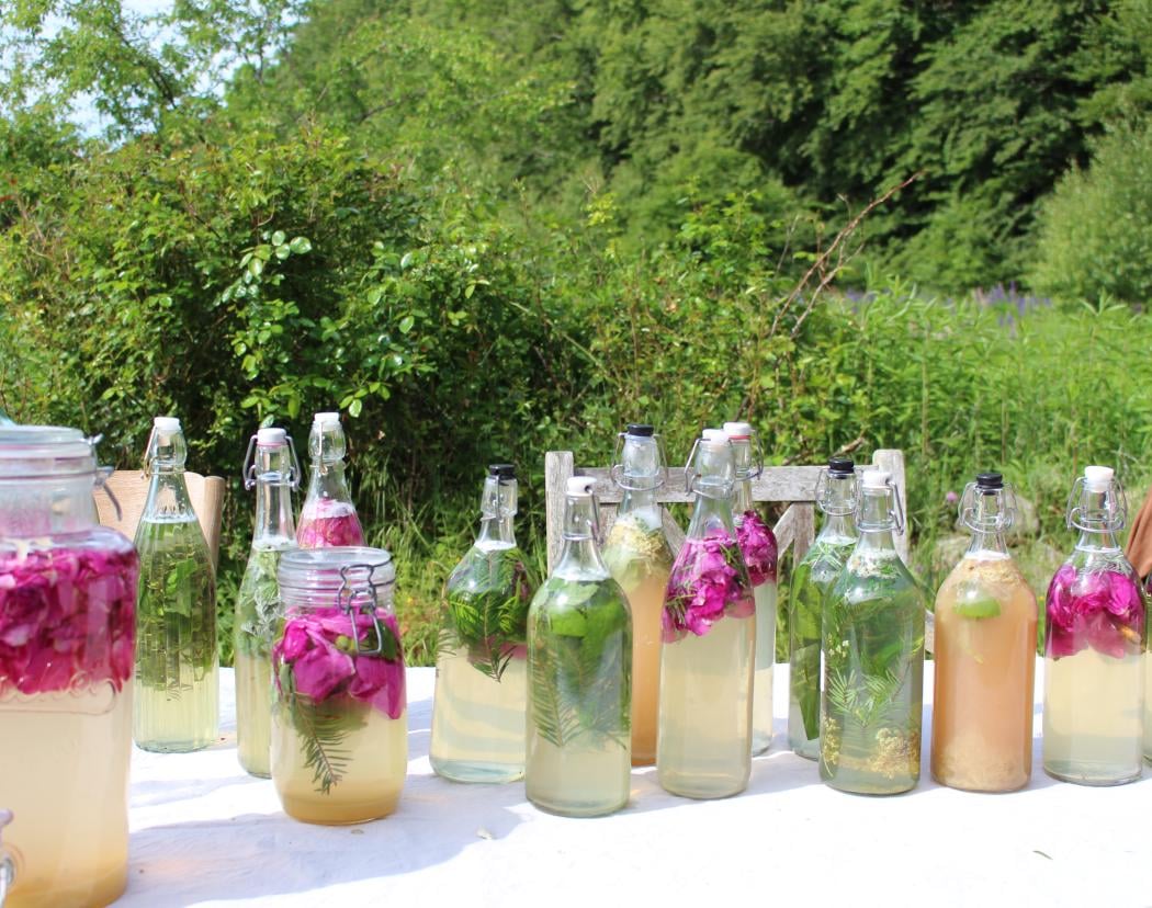 Vild fermentering 1