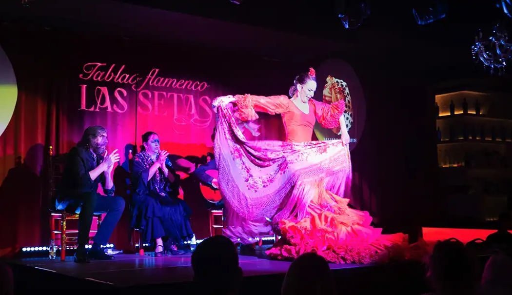 Espectáculo Flamenco 3