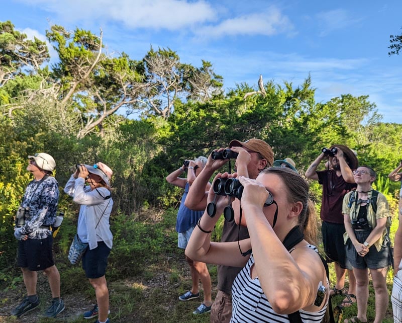 Guided Bird Walk 1