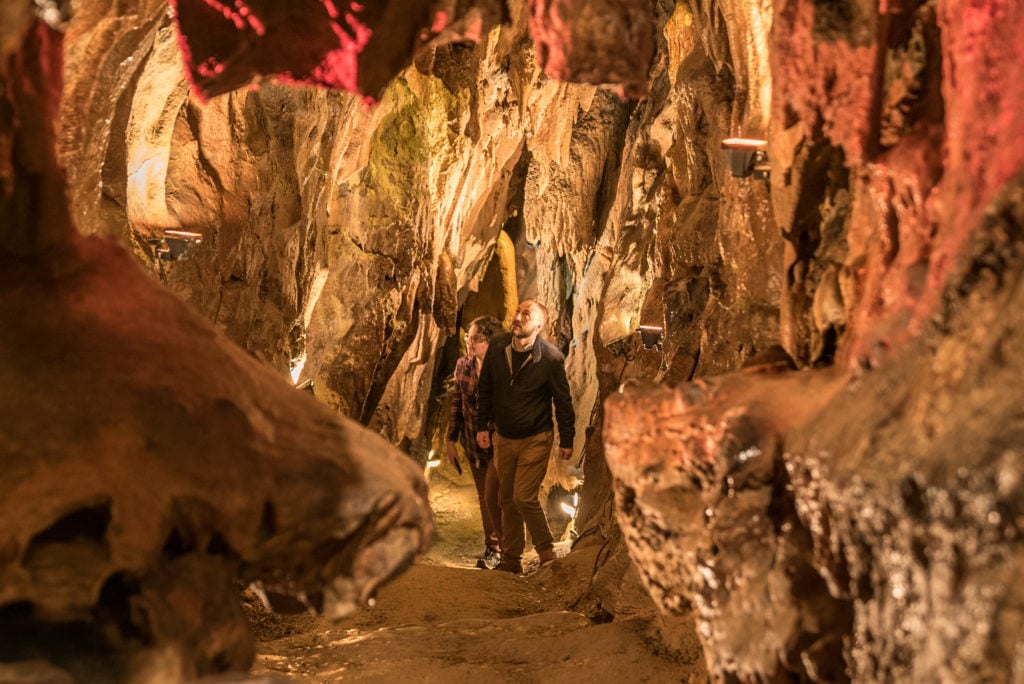 Valley of the Caves of Saulges - Prehistoric Museum 1