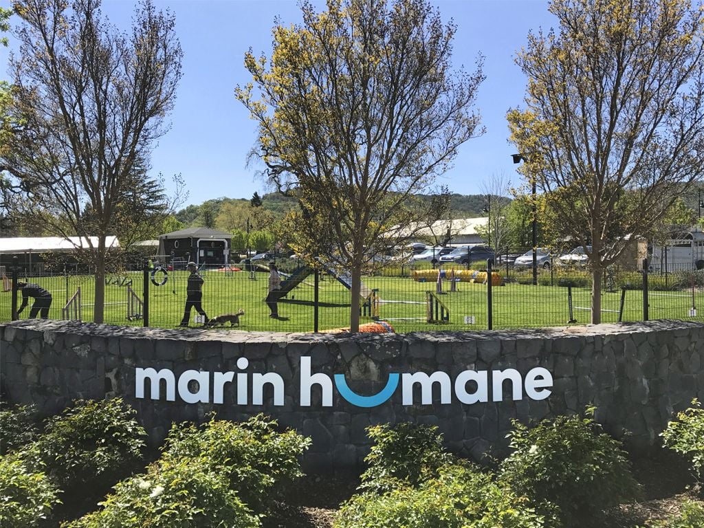 Marin Humane 2