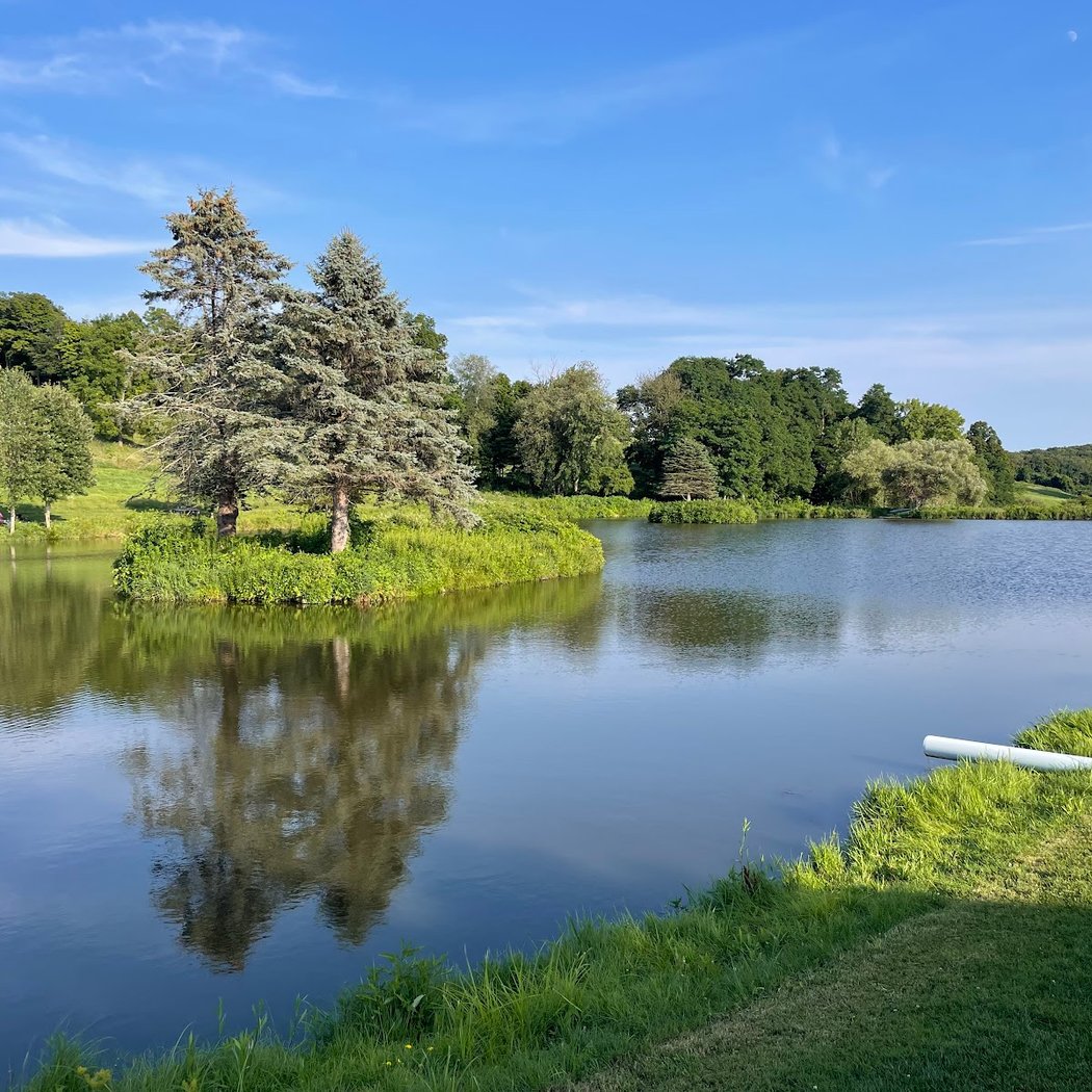 Live Music and Food Trucks at Millbrook Vineyards 2