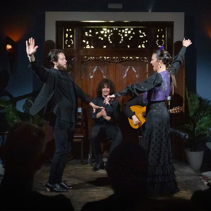 Espectáculo de flamenco íntimo 3