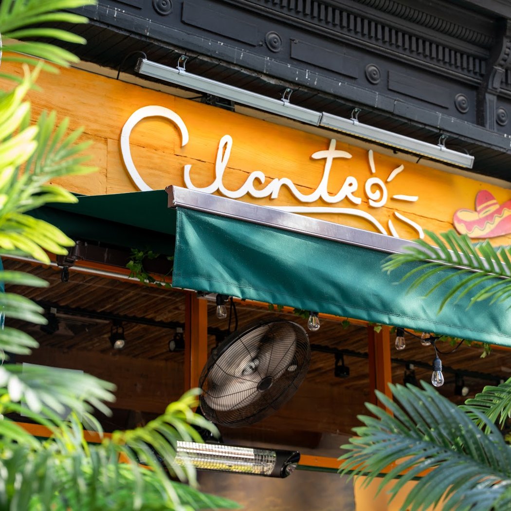 Cilantro NY 2