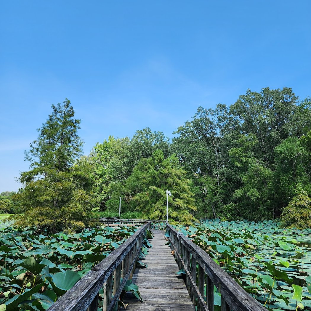 Lichterman Nature Center 1
