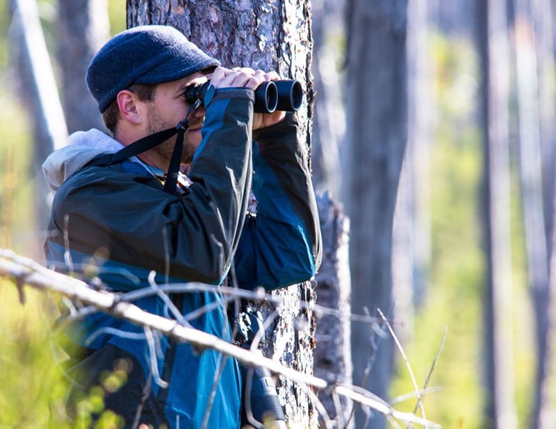 Arboretum Bird Walk 1